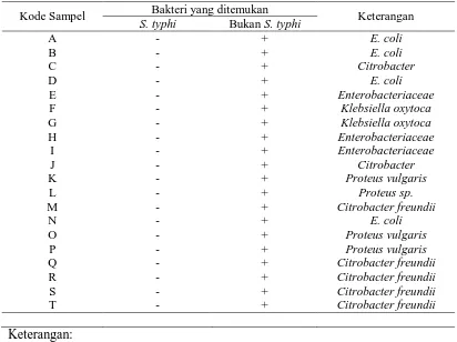Tabel 5.1 Hasil pemeriksaan Salmonella enteric serotype typhi I pada bakso yang 