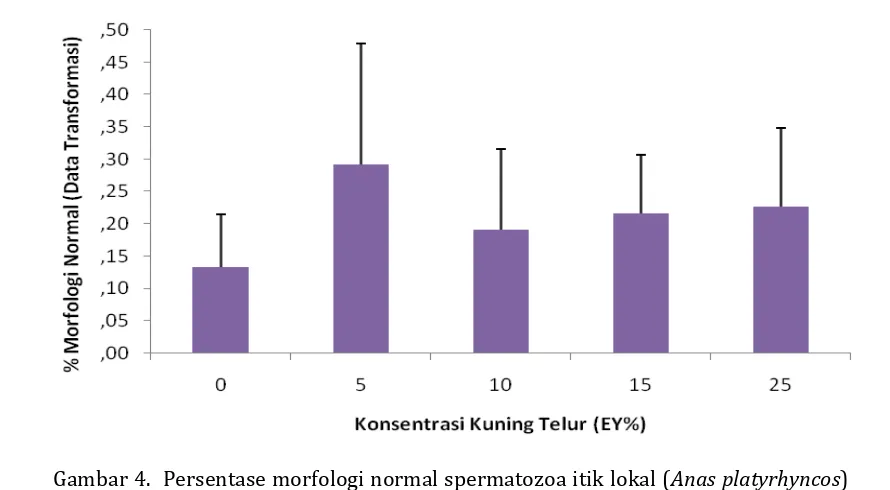 Gambar 4.  Persentase morfologi normal spermatozoa itik lokal (Anas platyrhyncos) selama preservasi 6 hari dalam refrigerator 5C pada berbagai 