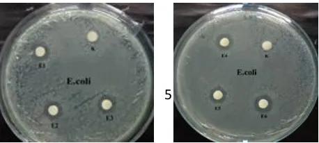 Tabel 2. Zona hambat isolat BAL terhadap bakteri patogen 