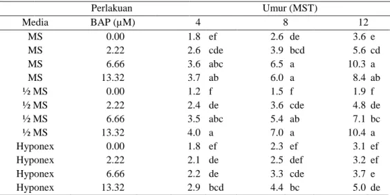 Tabel 4.  Rataan pengaruh interaksi media dan BAP terhadap jumlah total tunas baru   pada kultur in vitro  anthurium Wave of Love (Anthurium  plowmanii) 