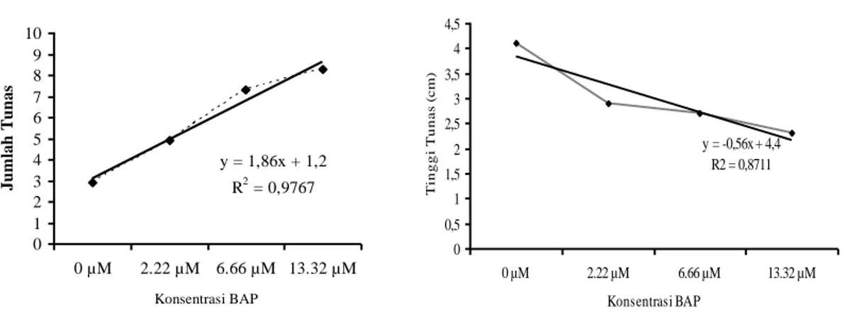 Gambar  2.  Grafik  analisis  regresi  pengaruh  konsentrasi  BAP  terhadap  (a)  jumlah  tunas  dan  (b)  tinggi  tunas    anthurium Wave of Love (Anthurium plowmanii) pada 12 MST 