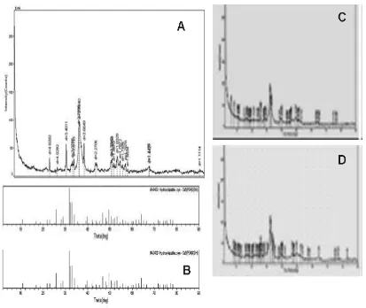 FIGURE 3.X-R Diffraction pattern of EW-HAP (A); HAP control/Bongros® (B) human HAP (C)and bovine HAP (D)