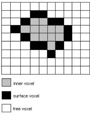 Gambar 1. Representasi Voxel 