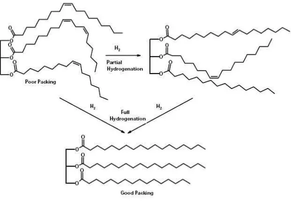 Gambar 2.9 : Reaksi hidrogenasi 