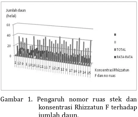 Tabel 4. Pengaruh nomor ruas stek dan konsentrasi Rhizattun F terhadap jumlah daun 