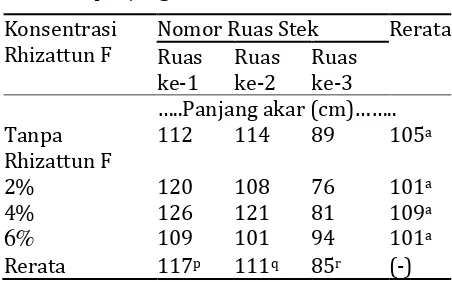 Tabel 7.  Pengaruh nomor ruas stek dan konsentrasi Rhizattun F terhadap panjang akar 