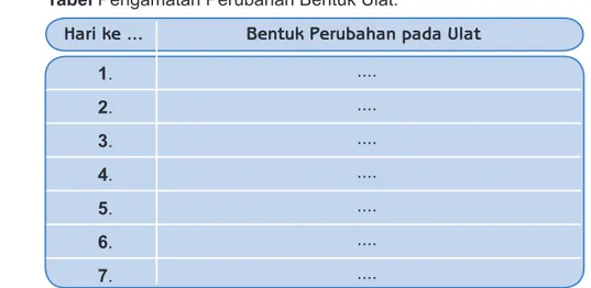 Tabel Pengamatan Perubahan Bentuk Ulat.