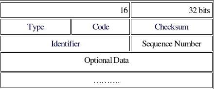 Gambar 10. Format Datagram ICMP echo 