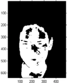 gambar masukan dengan level grayscale sesuai dengan batasan kotak wajah yang telah terdefinisi dan proses penyesuaian ukuran (resize) gambar hasil 