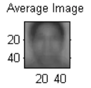 Gambar 12. Average Face 