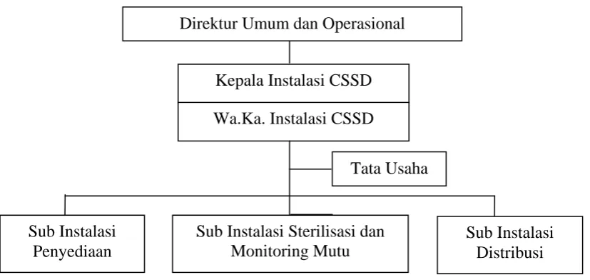Gambar 3.2 Struktur Organisasi Instalasi Central Sterilized Supply Department   (CSSD) RSUP H