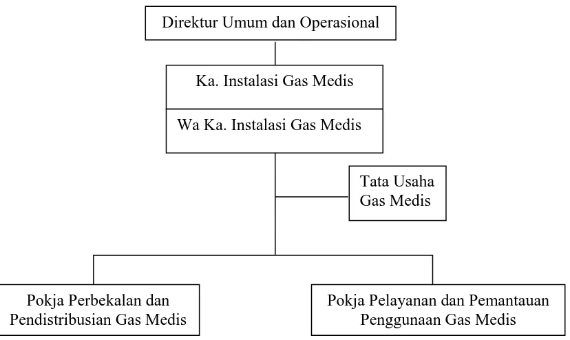 Gambar 3.3  Struktur Organisasi Instalasi Gas Medis RSUP. H. Adam Malik  