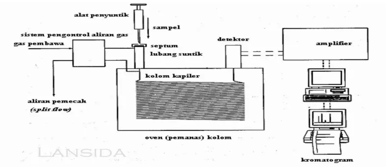 Gambar 2.6 Skema Alat Gas Kromatografi 
