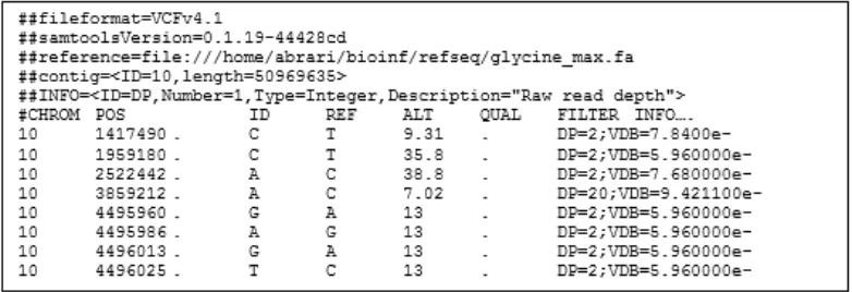 Gambar 2  Format data SNP fail berformat VCF 