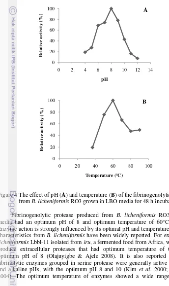 Figure 4 The effect of pH (A) and temperature (B) of the fibrinogenolytic protease 