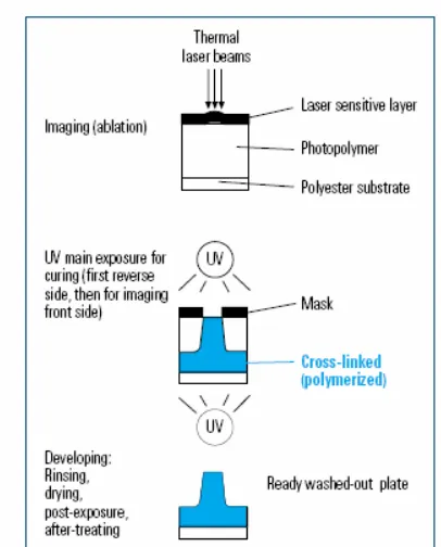 Gambar 6.5. Proses pengembangan pelat photopolymer  