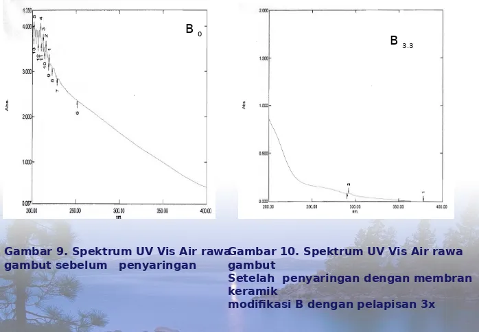 Gambar 9. Spektrum UV Vis Air rawa Gambar 10. Spektrum UV Vis Air rawa 