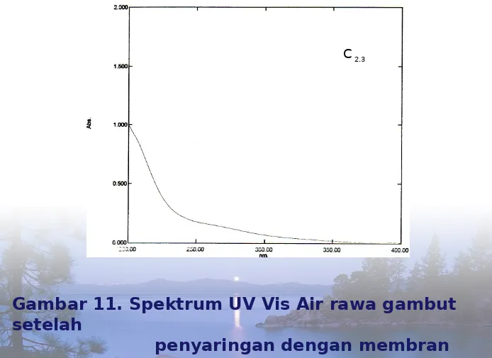 Gambar 11. Spektrum UV Vis Air rawa gambut 