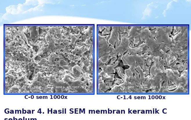 Gambar 4. Hasil SEM membran keramik C 