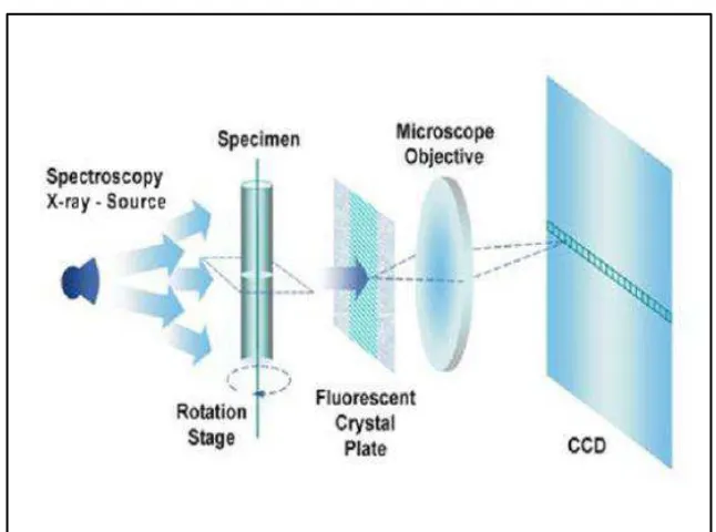 Gambar 3.8 . Diagram Prinsip Kerja Mikro-CT Scan (Nia (2013)) 