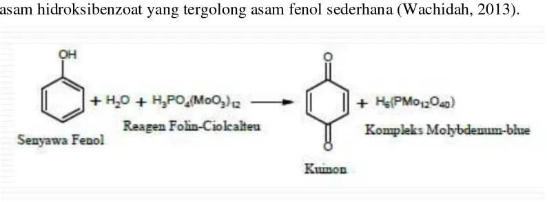 Gambar 2.5 Reaksi Folin-Ciocalteau dengan Senyawa Fenol 