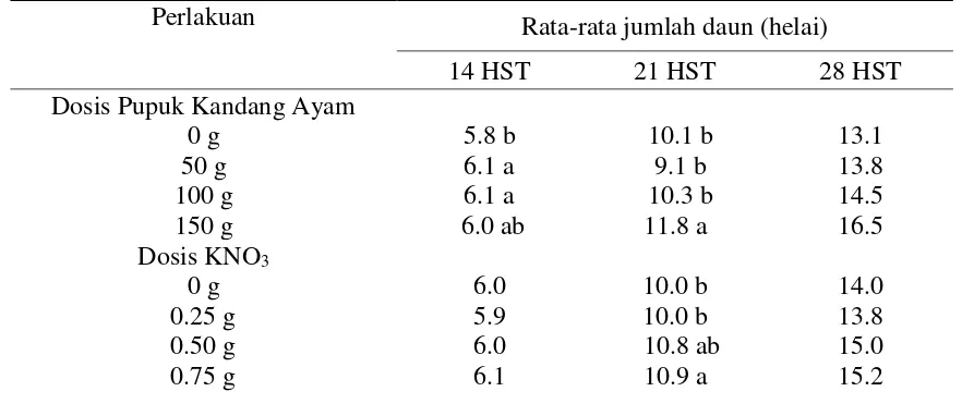 Tabel 2.  Rata-rata tinggi tanaman bayam (cm) pada umur 21 dan 28  HST 