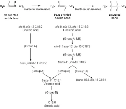 Figure 1. Illustration hydrogenation of unsaturated fatty acids  in the rumen (Jenkins et al., 2008)
