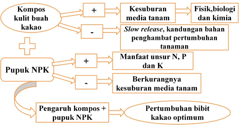 Gambar 1.  Kerangka pemikiran penelitian pengaruh pemberian kompos kulit buah  kakao sebagai campuran media pembibitan dan pupuk NPK (15:15:15) terhadap pertumbuhan bibit kakao