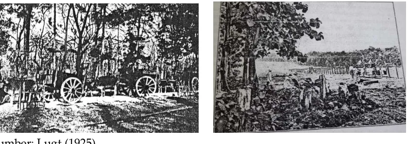 Gambar 2. Pengangkutan jati dengan cikar (kiri), dan menggunakan  monorel (kanan) 