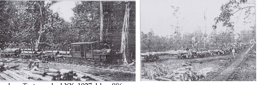 Gambar 3. pengangkutan kayu jati dengan kereta api di wilayah hutan Cepu        pada awal abad ke-20 
