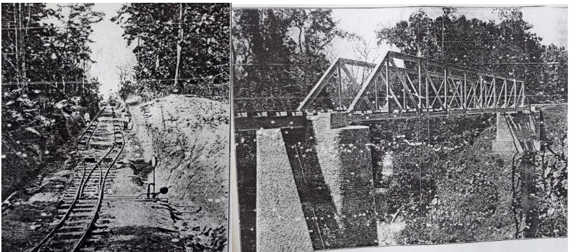 Gambar 4.     Persilangan rel kereta api di tengah hutan (kiri), dan jembatan besi  