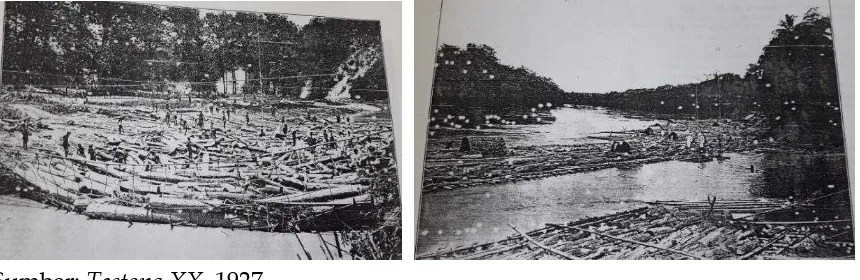 Gambar. 1. Merakit kayu di Sungai (kiri), dan pengangkutan kayu bakar         melalui  Bengawan Solo (kanan) 