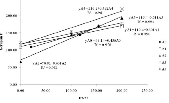 Gambar  3.  Hubungan  amelioran  dan  pupuk  SP-36  terhadap  serapan  P  tanaman               jagung (Zea mays L.) 