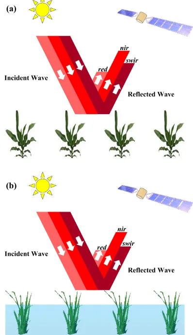 Figure 2. Reﬂectance characteristics in the red, near-infrared