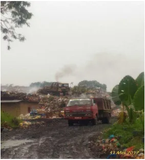Gambar Lampiran 9. Kondisi tempat pengomposan sampah Pasar Dwikora 