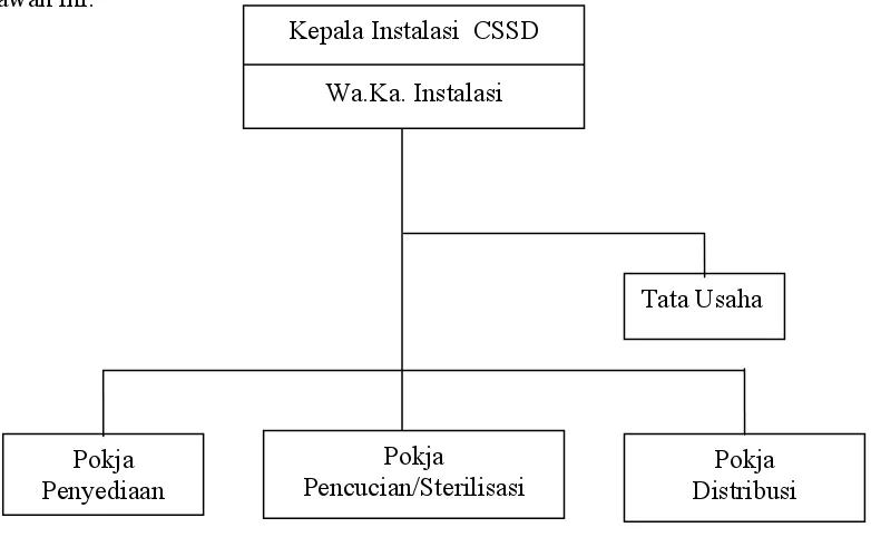 Gambar 3.3. Struktur Organisasi Instalasi Central Sterilized Supply Department       