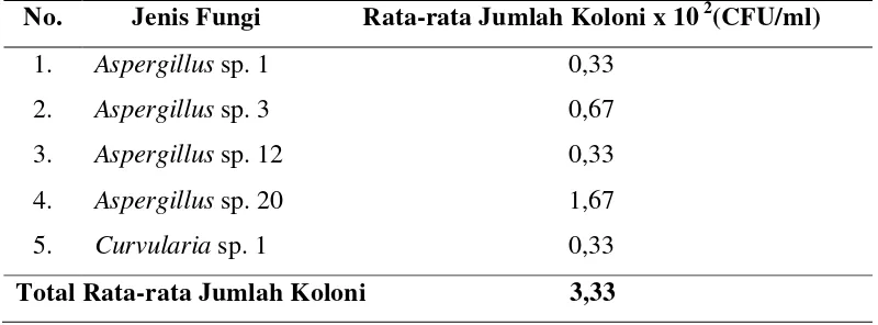 Tabel 4.2. Rata-rata   Jumlah  Koloni  x 102   (CFU/ml)  dari  Tiap  Jenis  Fungi pada Serasah Daun R