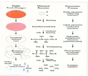 Gambar 1. Hubungan  proses oksidasi dengan bleaching sampai  