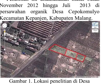 Gambar 1. Lokasi penelitian di Desa Cepokomulyo (kotak merah) 