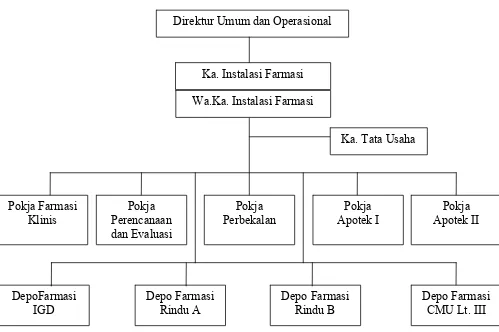 Gambar 3.1  Struktur Organisasi Instalasi Farmasi RSUP H. Adam Malik 