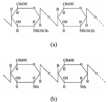 Gambar 1  Struktur molekul kitin (a) dan kitosan (b) (Thatte 2004).  