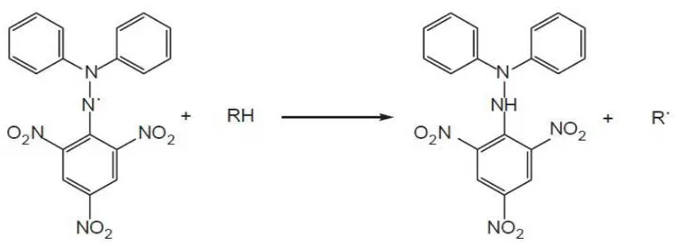 Gambar 2.5 Reaksi antara DPPH dengan atom H dari senyawa antioksidan (Widyastuti, 2010) 
