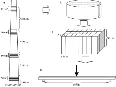 Figure 1a. Disks were cut from the coconut stem; b.  Cubes were cut from the disk; c. Bending test samples were cut from the cube; d