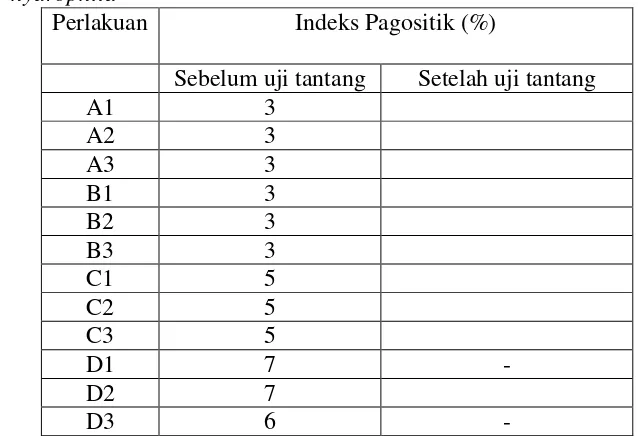 Tabel 3 Indeks pagositik sebelum dan setelah uji tantang dengan Aeromonas  hydrophila 