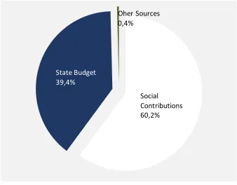 Figure 1. Sources of inancing of the insurance part of the pension system