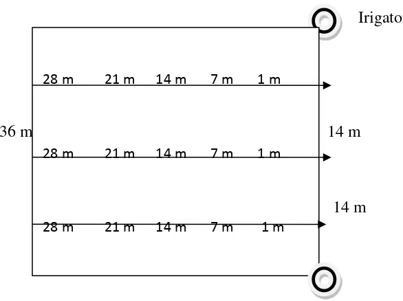 Gambar 1. Jarak semprot irigator dengan metode Grid 