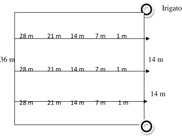 Gambar 1. Jarak semprot irigator dengan metode Grid 