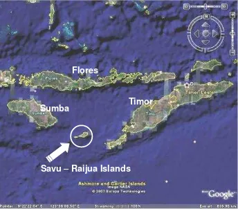Figure 1.–Sumba Savu and Raijua Islands between Timor–– –Flores Islands [1]  