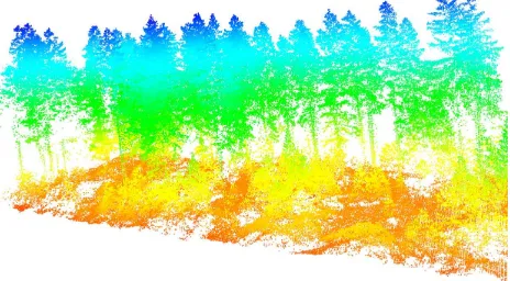 Figure 5. A point cloud visualization of sample forest scene withmultiple visible stems (point clouds of scene colored by heightover DTM).