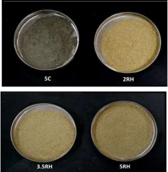 Figure 2. Physical Quantities of Various Percentages of Cement and RH  